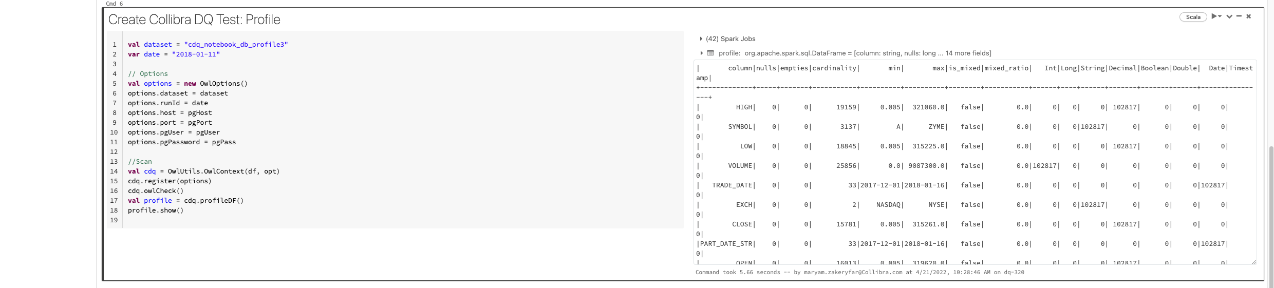CDQ Profile Run In Databricks